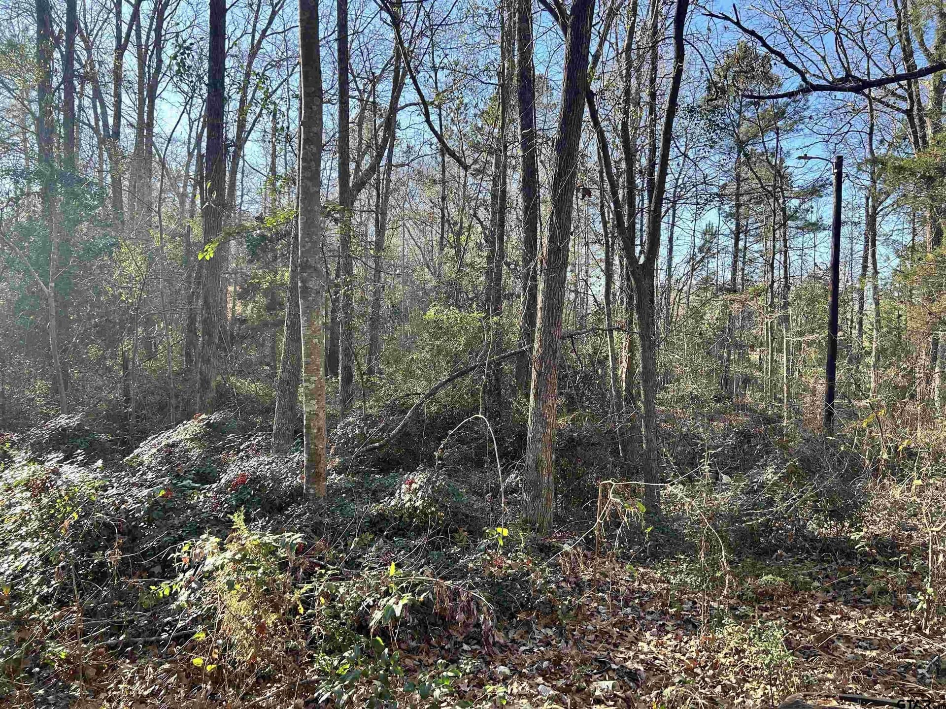 18 acres in Rusk County gallery image 2