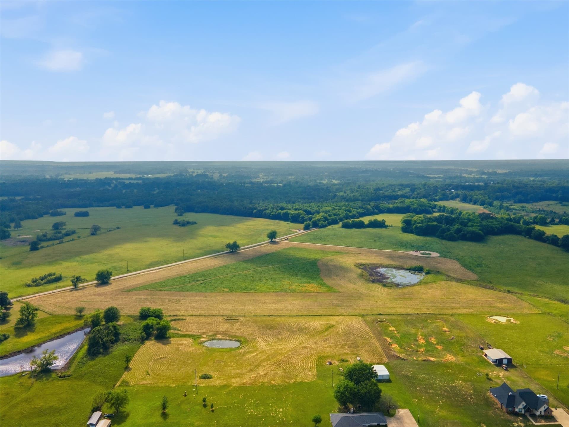 15.5 acres in Titus County - photo 13