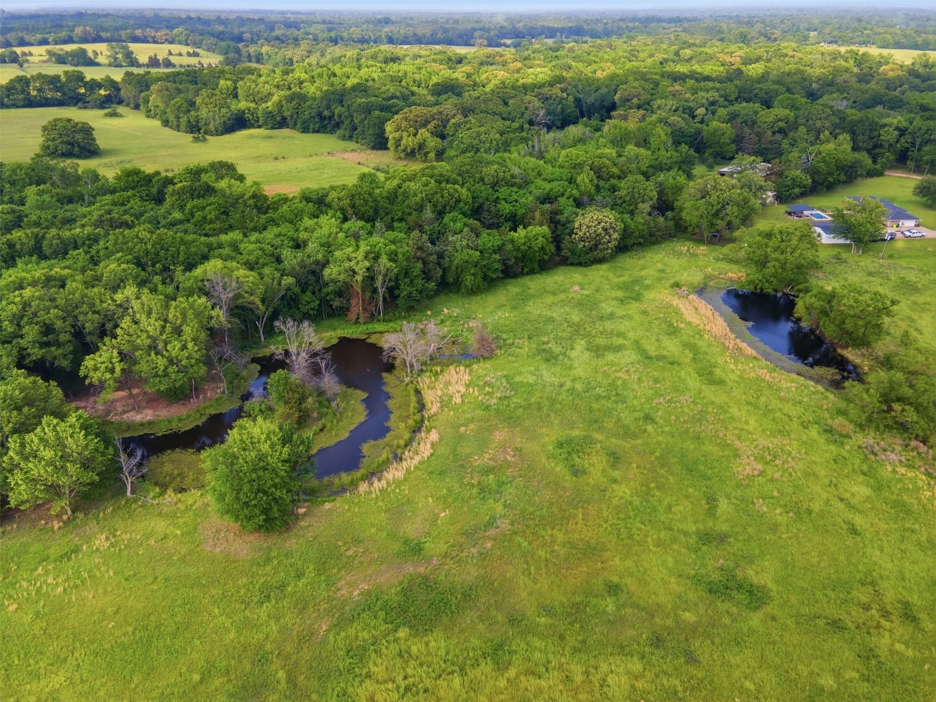 15.5 acres in Titus County - photo 16