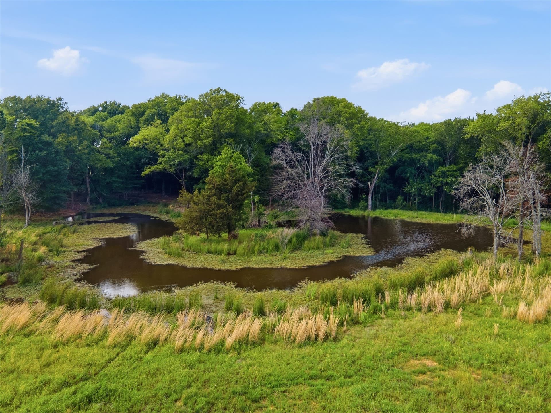 15.5 acres in Titus County - photo 17