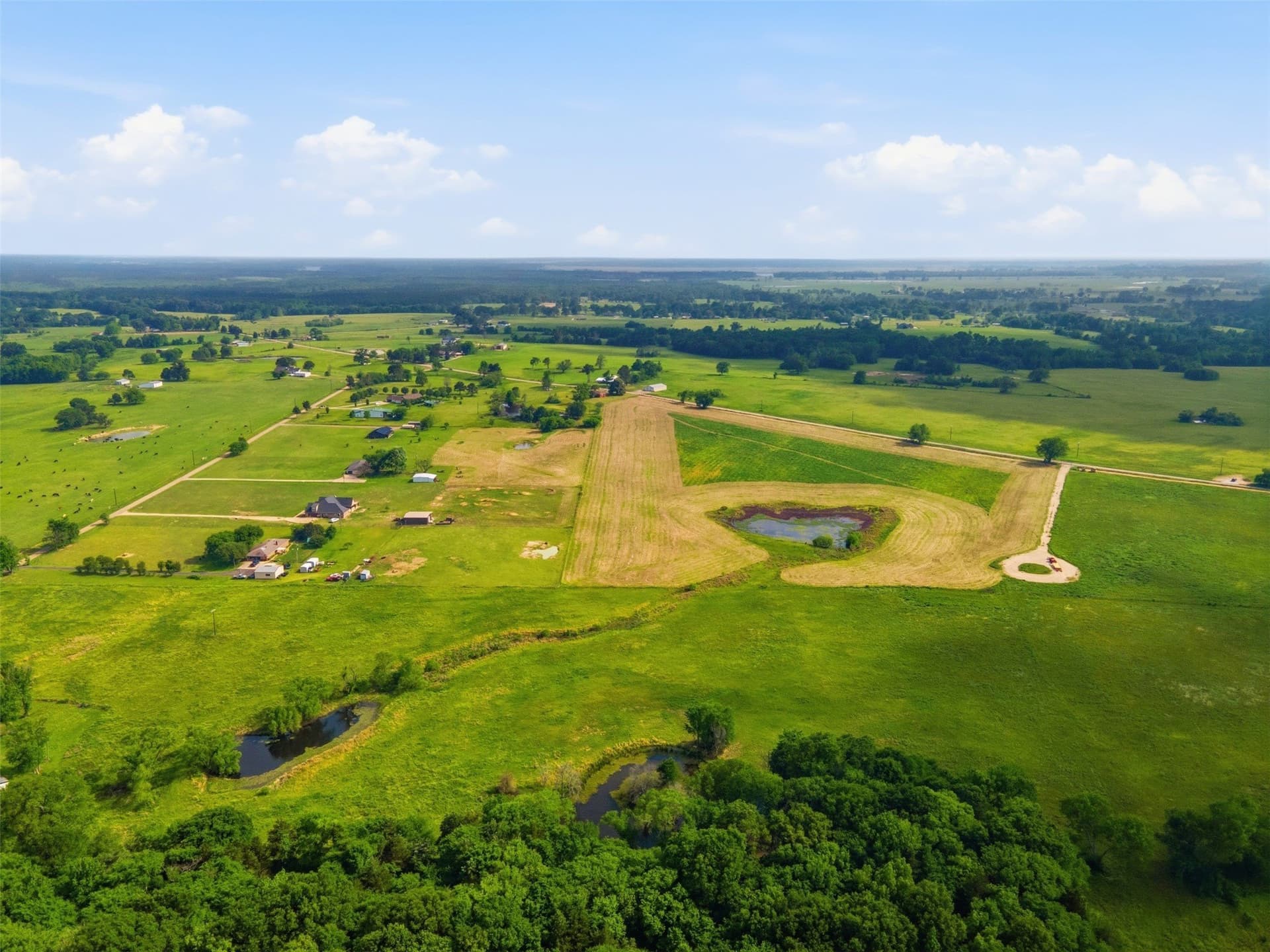 15.5 acres in Titus County - photo 7