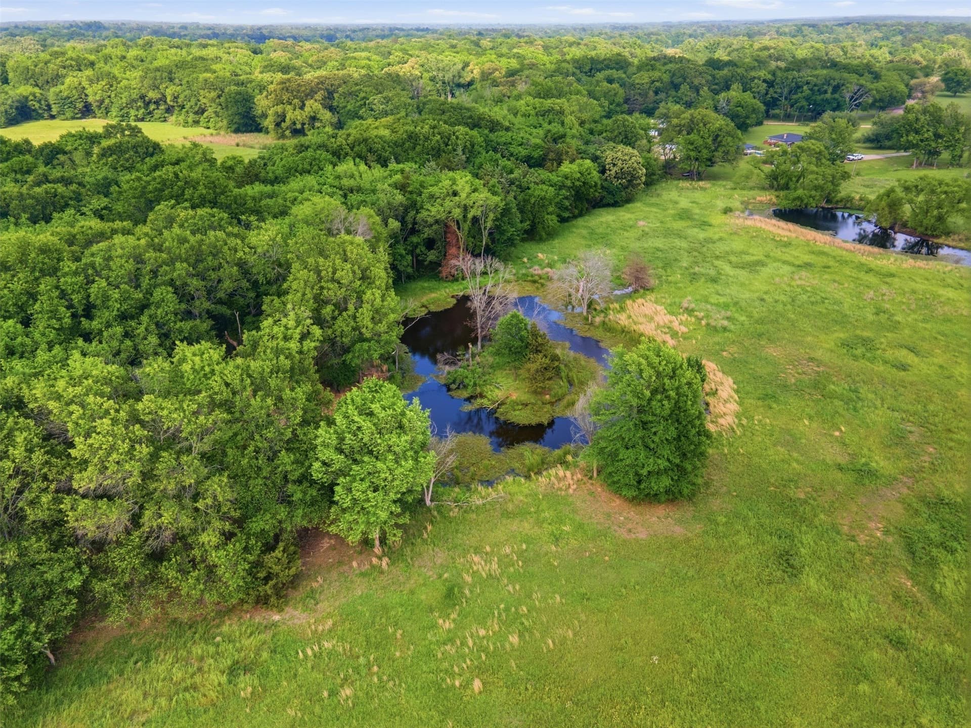 15.5 acres in Titus County - photo 15