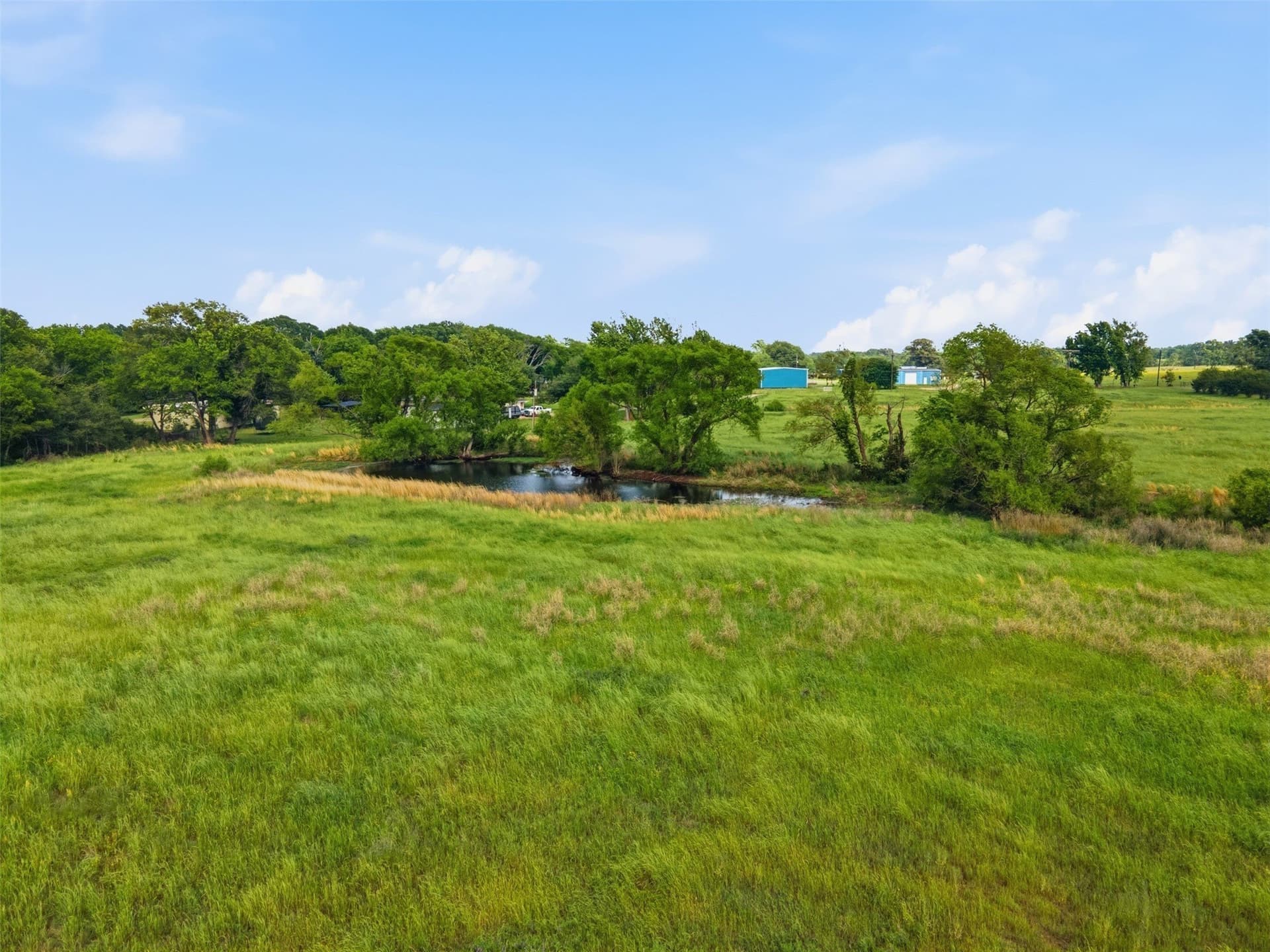 15.5 acres in Titus County - photo 18