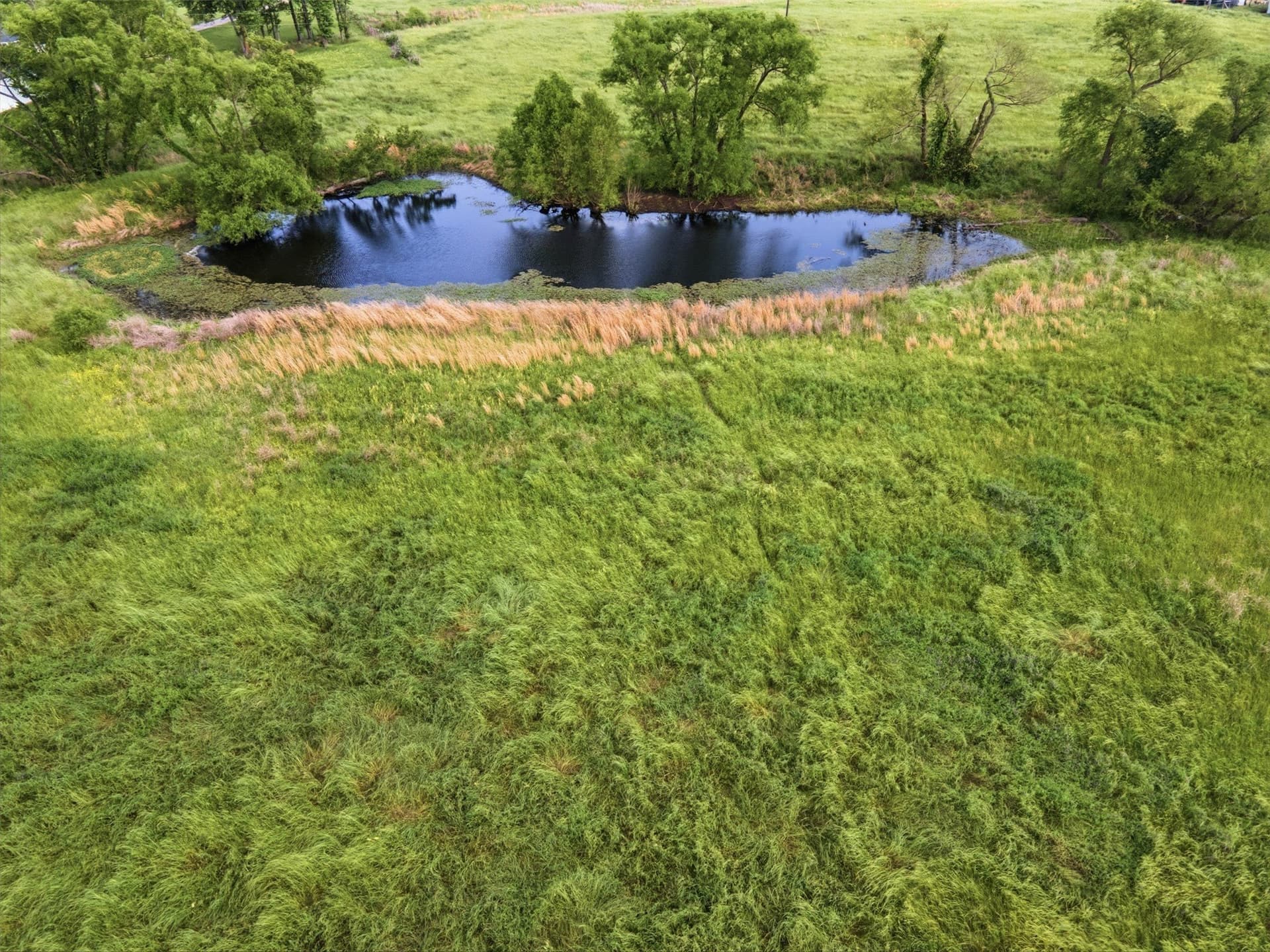 15.5 acres in Titus County - photo 19