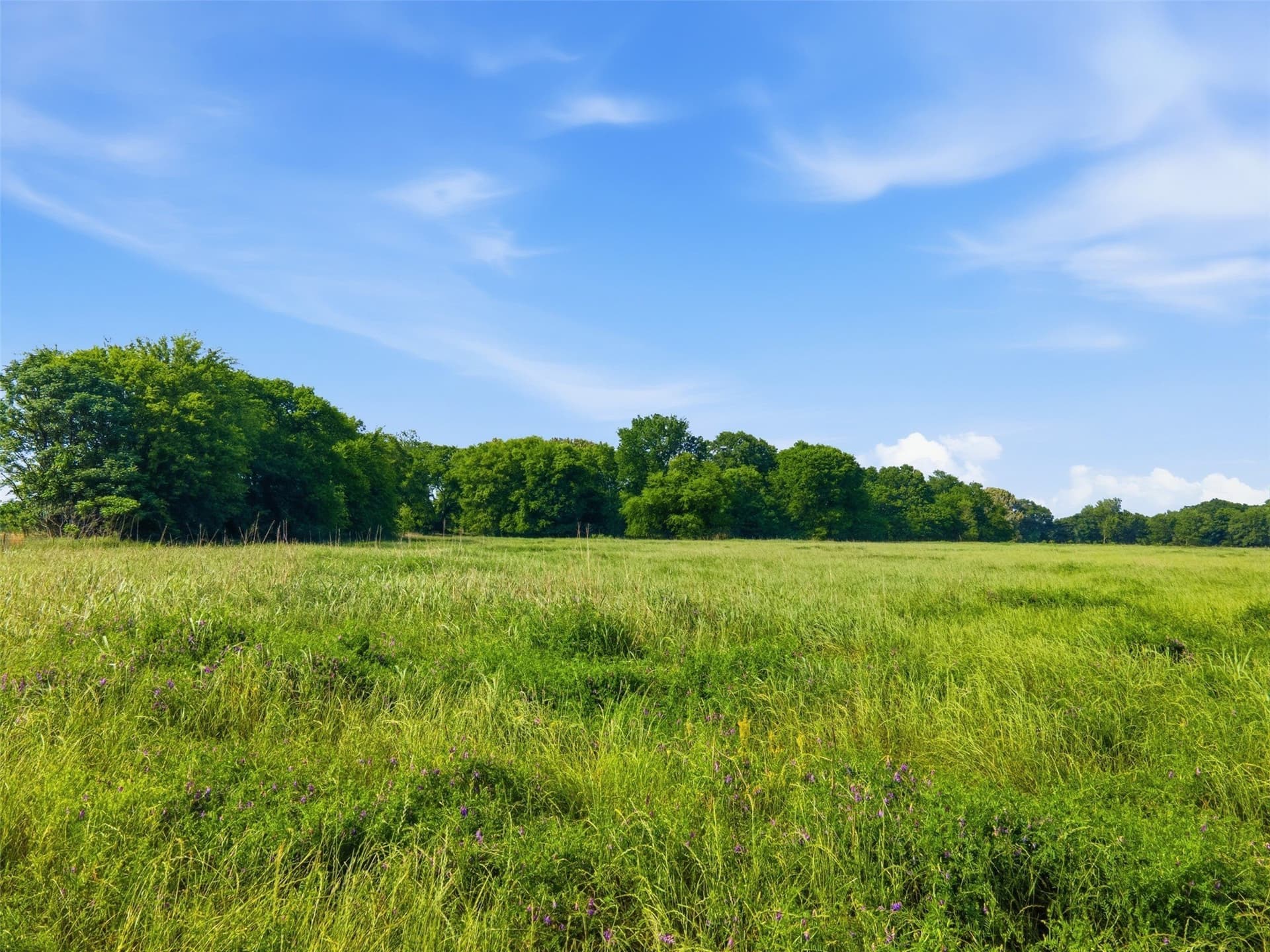 15.5 acres in Titus County - photo 23