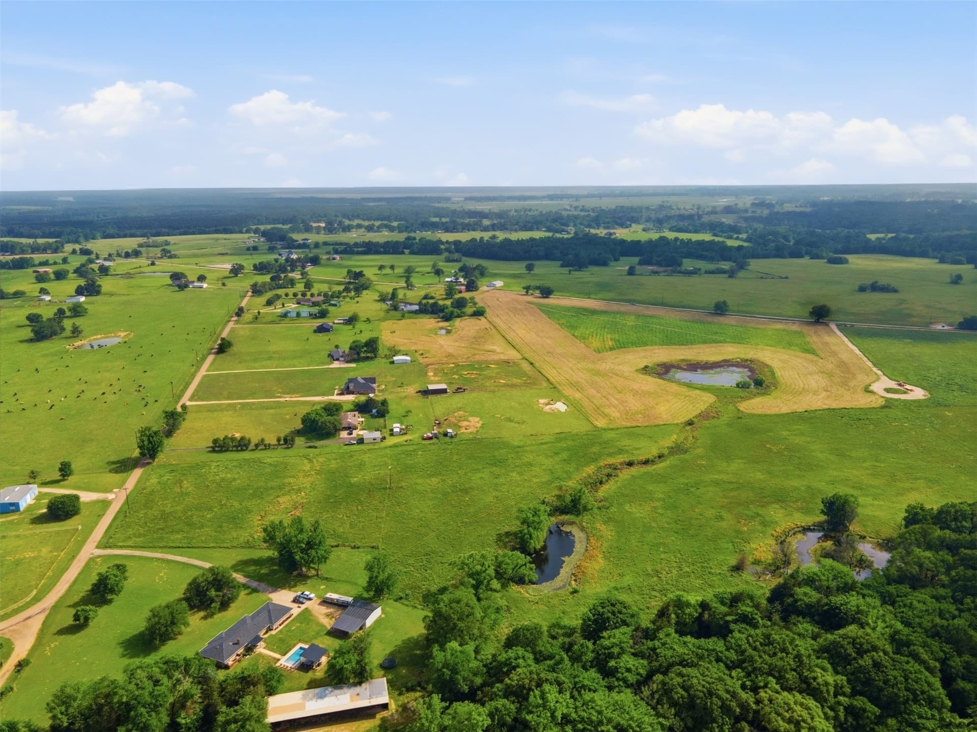 15.5 acres in Titus County - photo 8