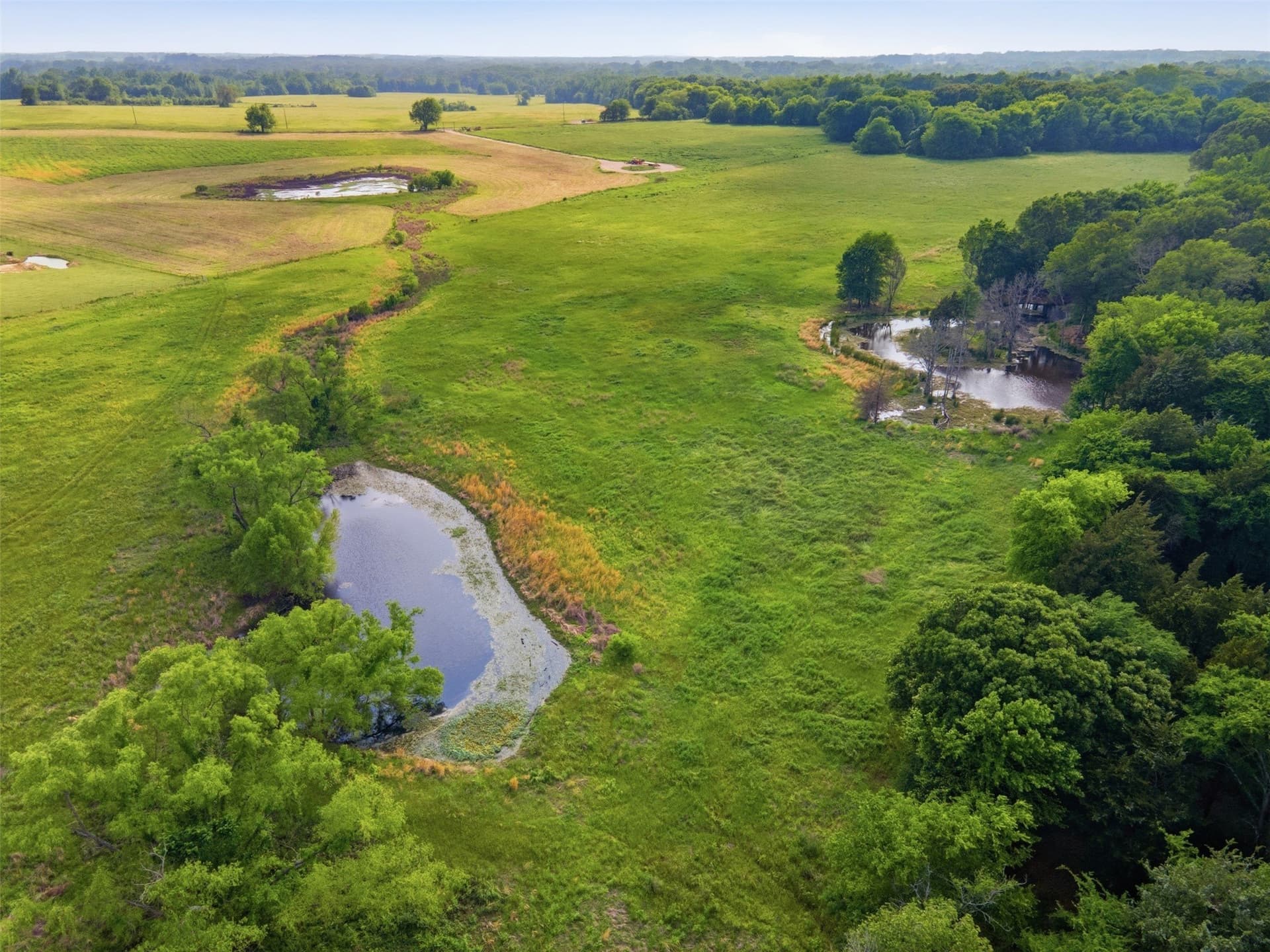 15.5 acres in Titus County - photo 20