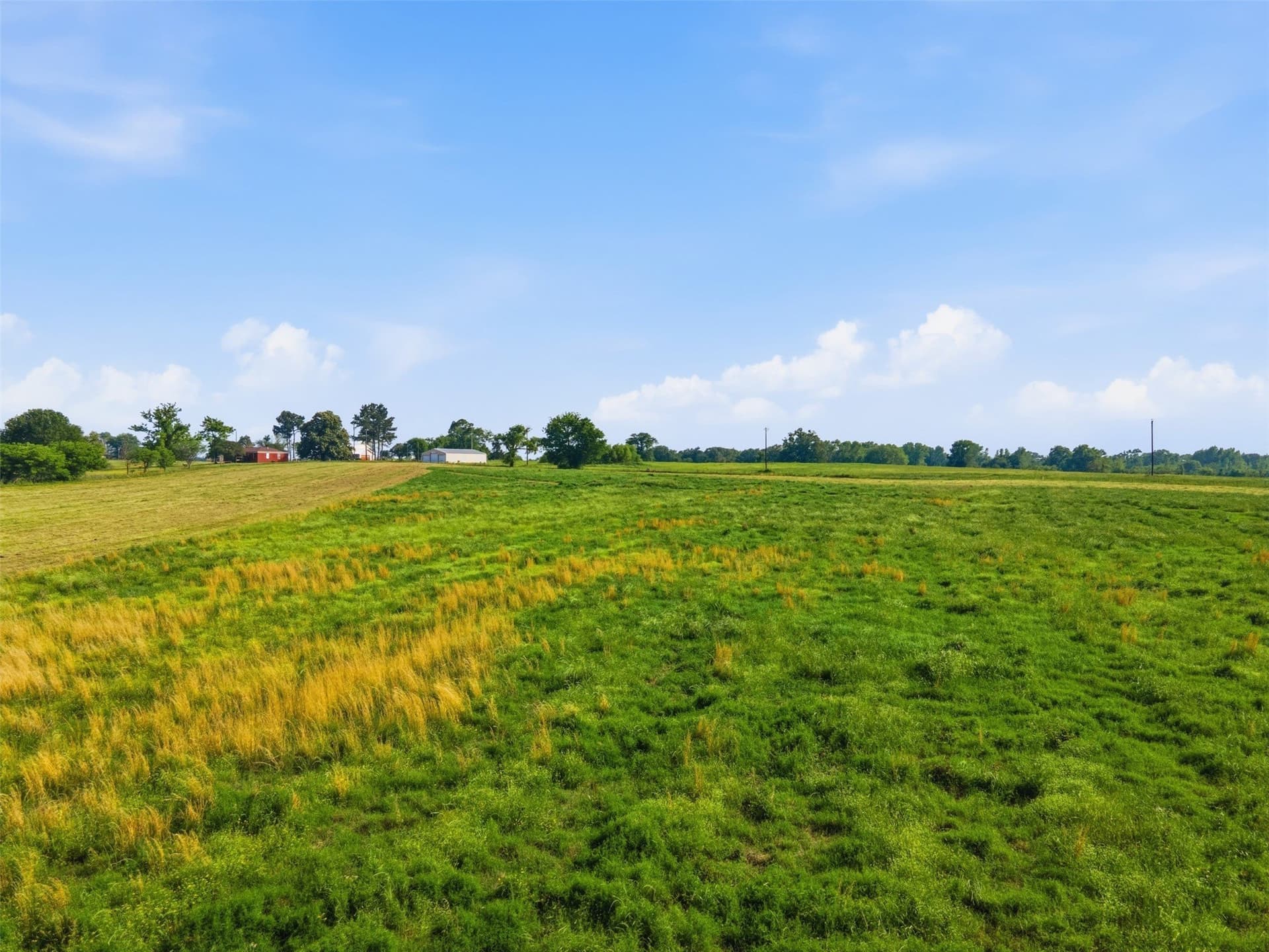 15.5 acres in Titus County - photo 25