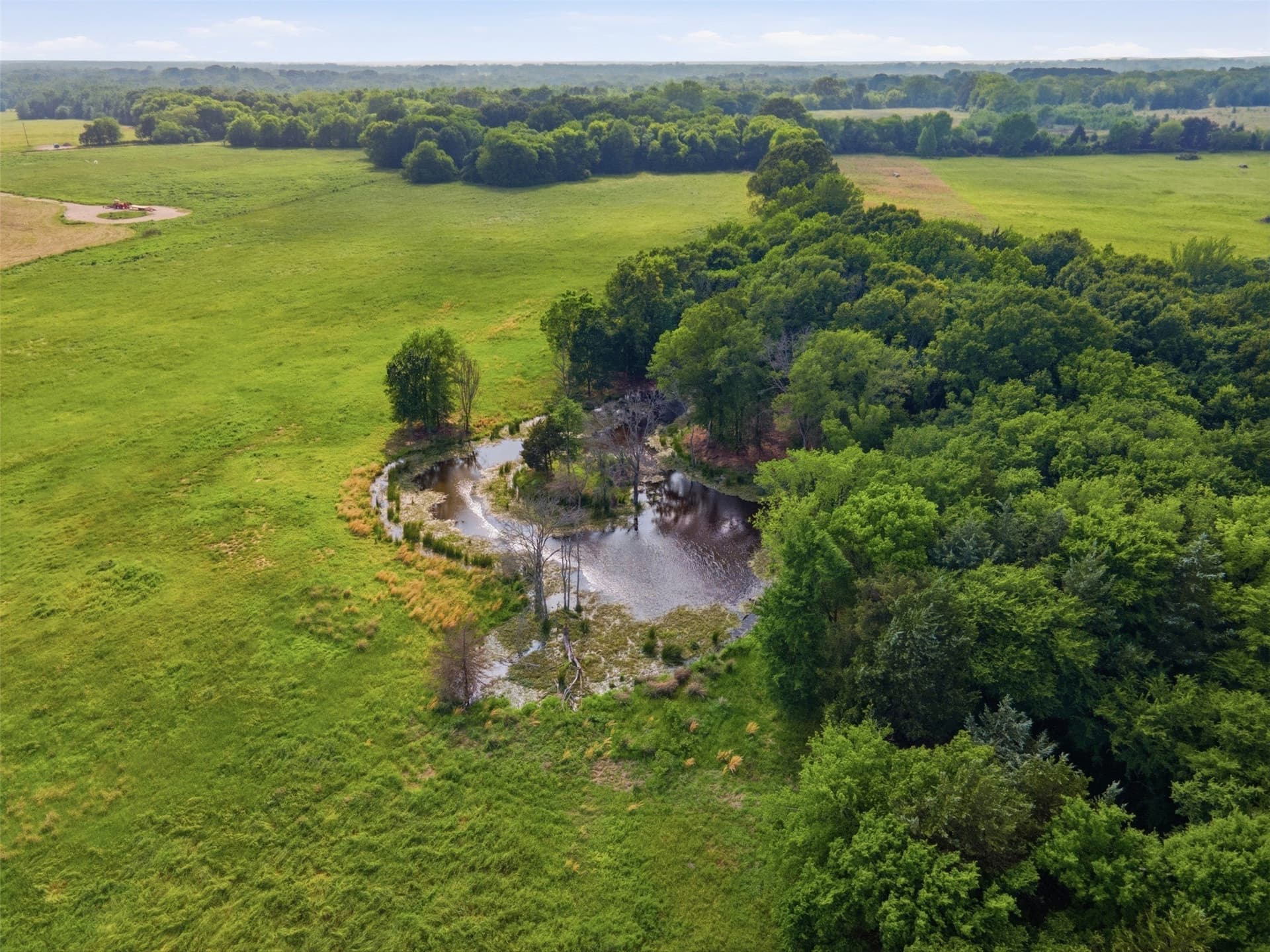 15.5 acres in Titus County - photo 21