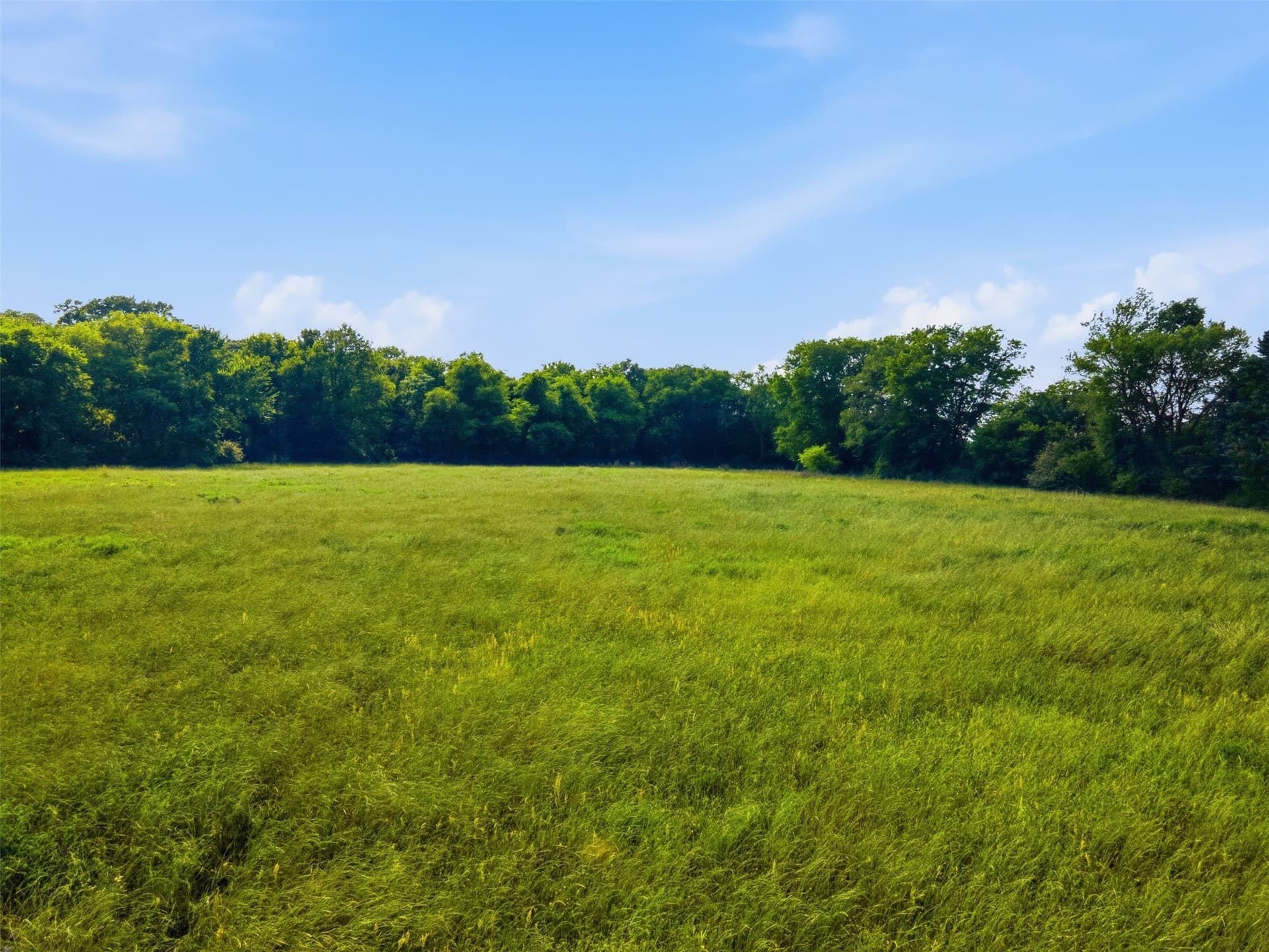 15.5 acres in Titus County - photo 22