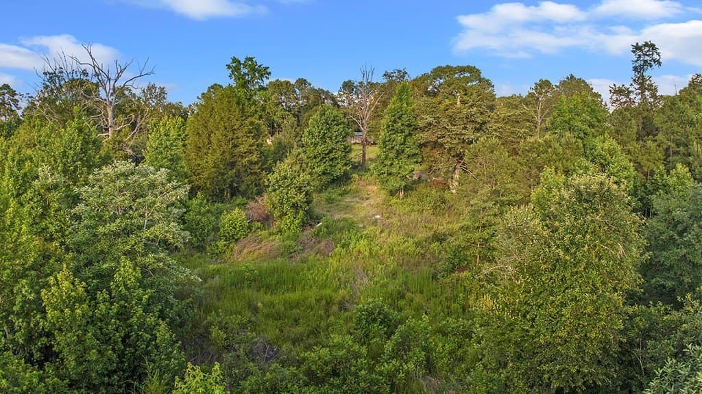 5.5 acres in Texas County featured view