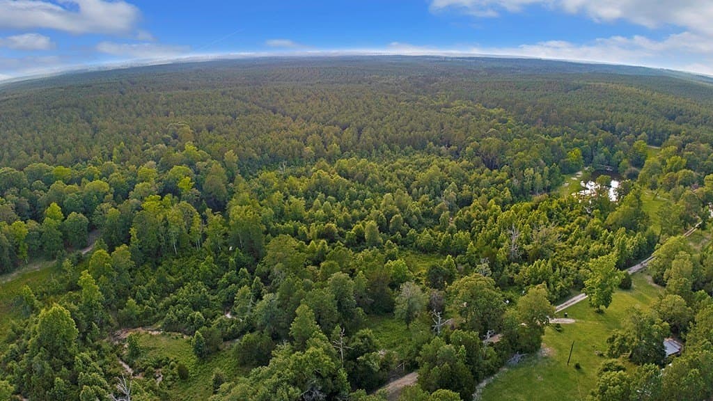 5.5 acres in Texas County gallery image 4