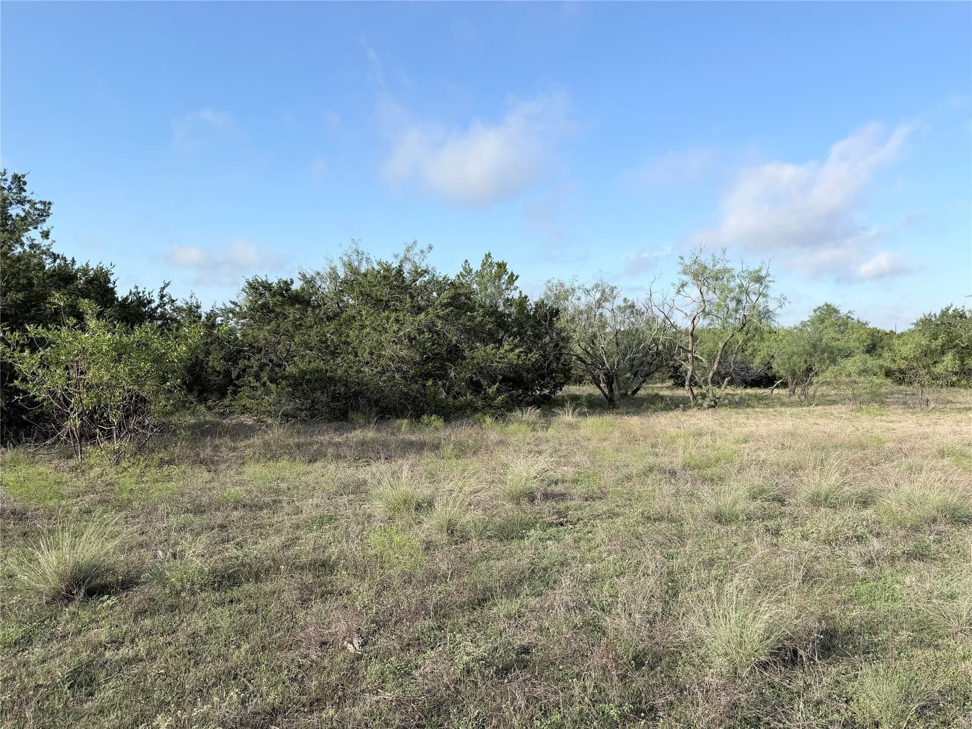 20.02 acres in Hamilton County - photo 9
