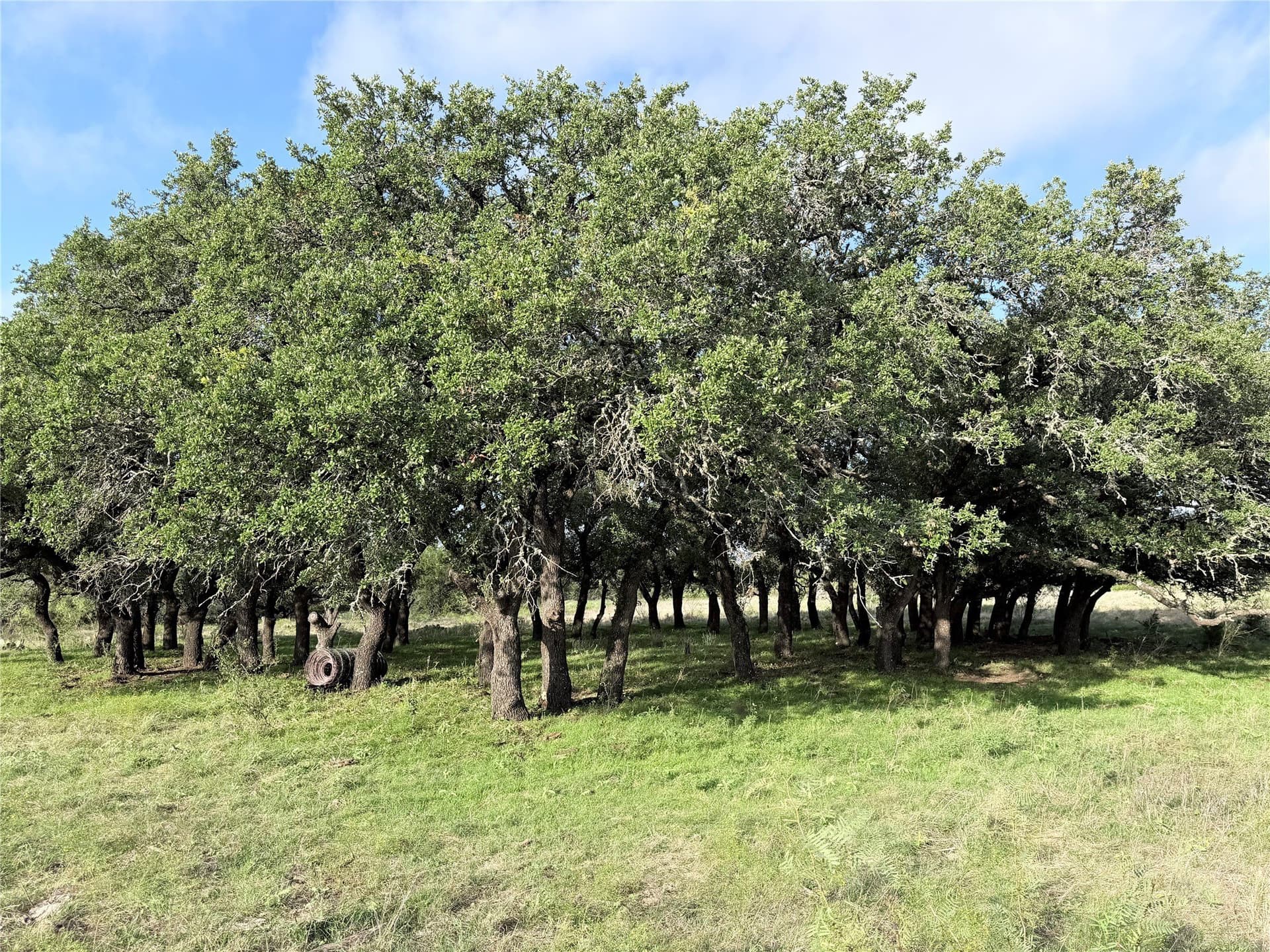 20.02 acres in Hamilton County - photo 3