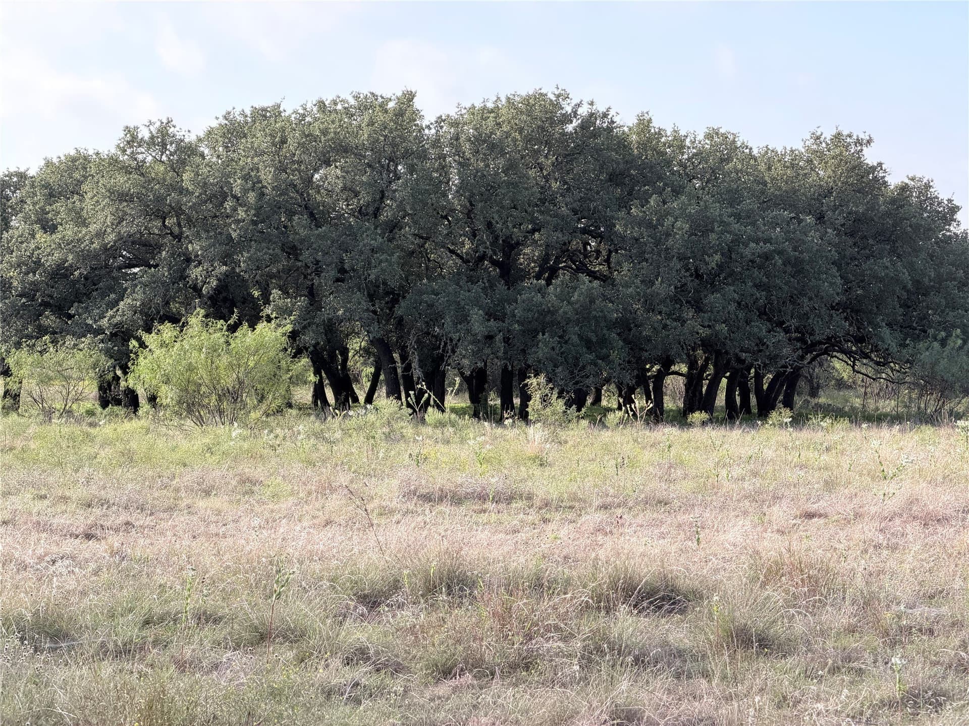 20.02 acres in Hamilton County - photo 14