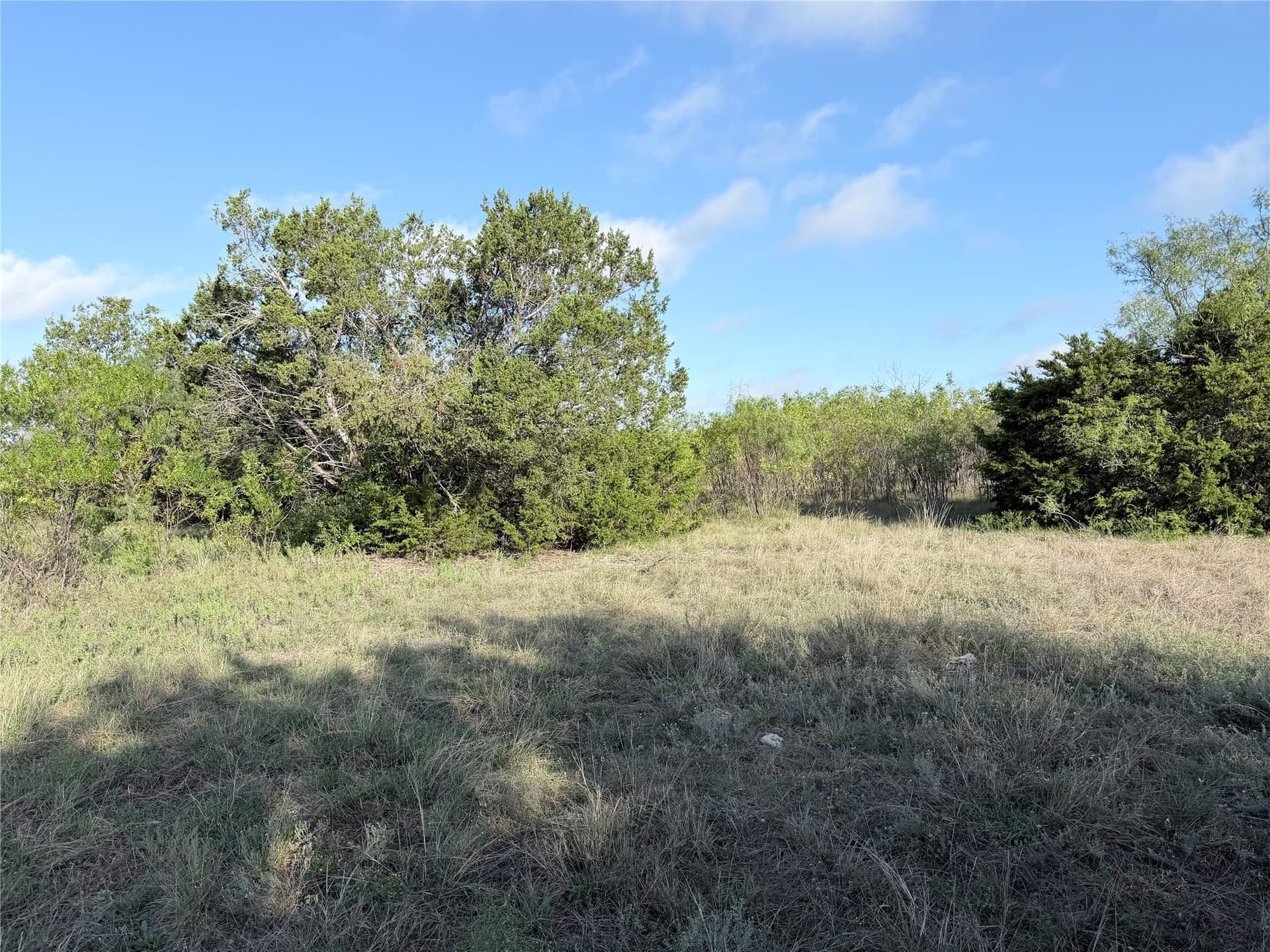 20.02 acres in Hamilton County - photo 5