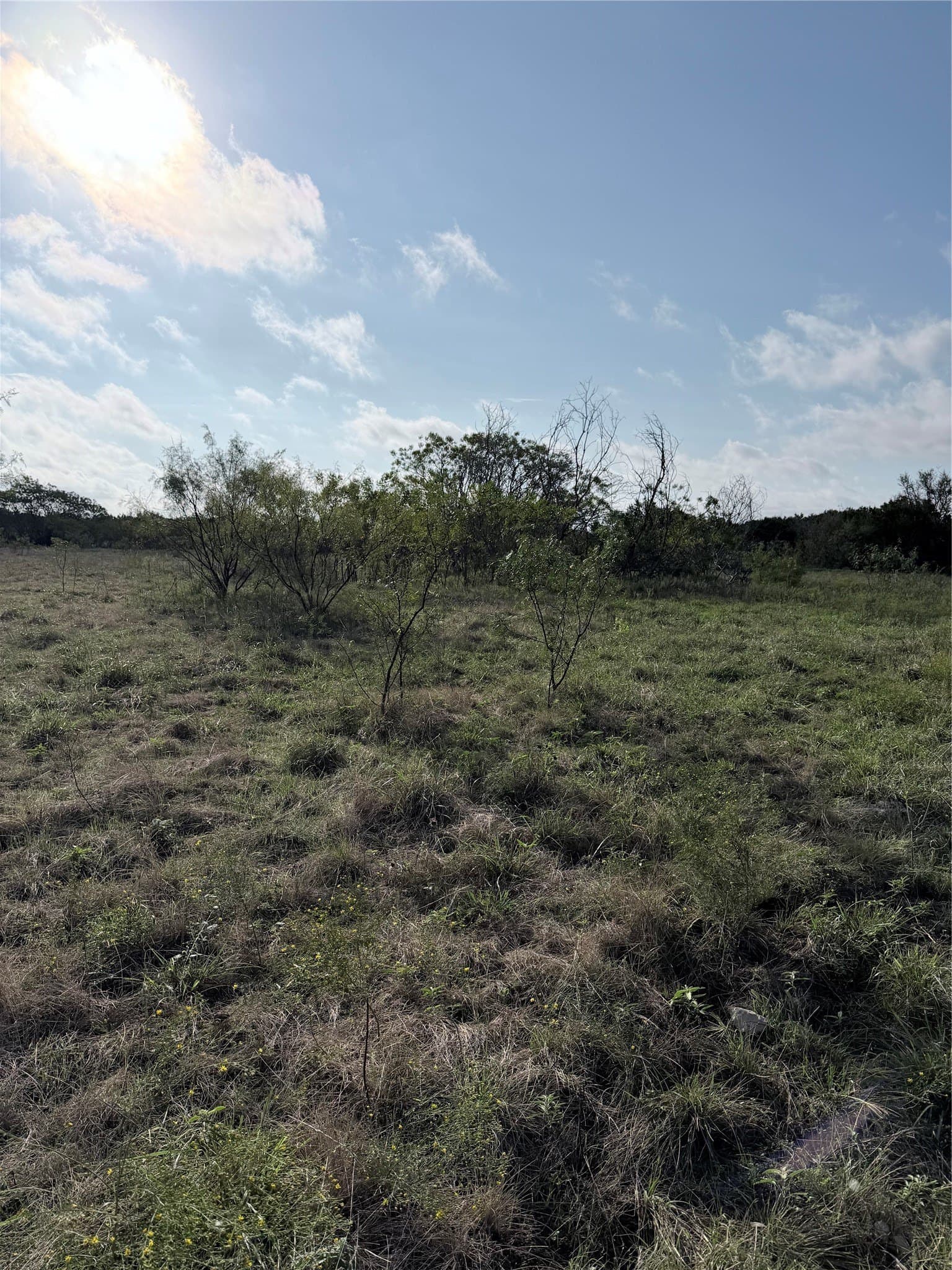 20.02 acres in Hamilton County - photo 2