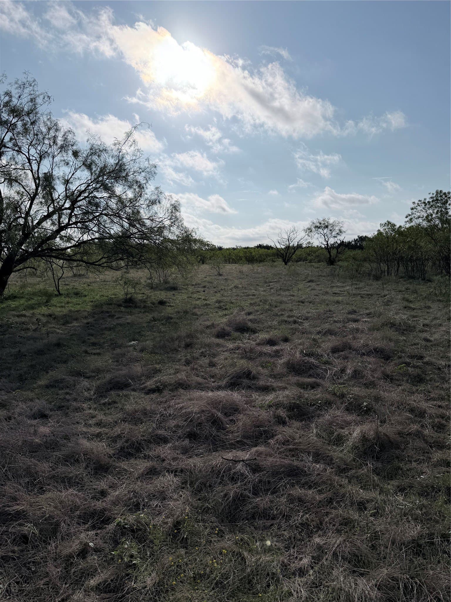 20.02 acres in Hamilton County - photo 13