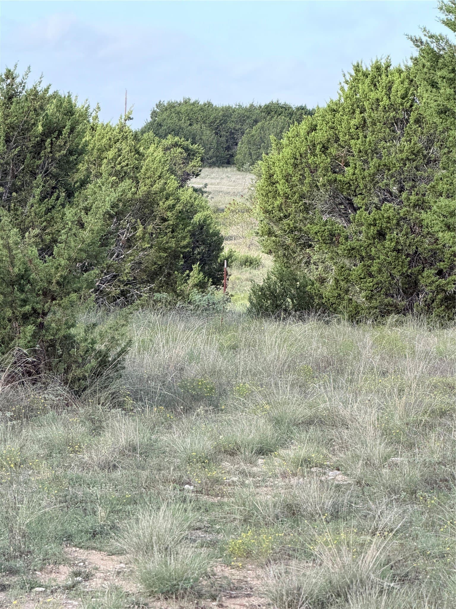 20.02 acres in Hamilton County - photo 15