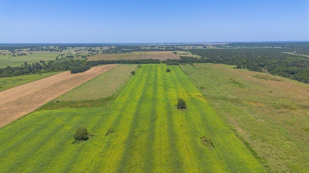 15.23 acres in Washington County - photo 2