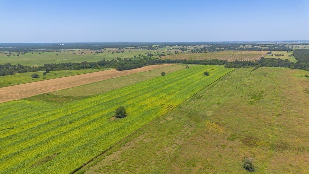 15.23 acres in Washington County - photo 8