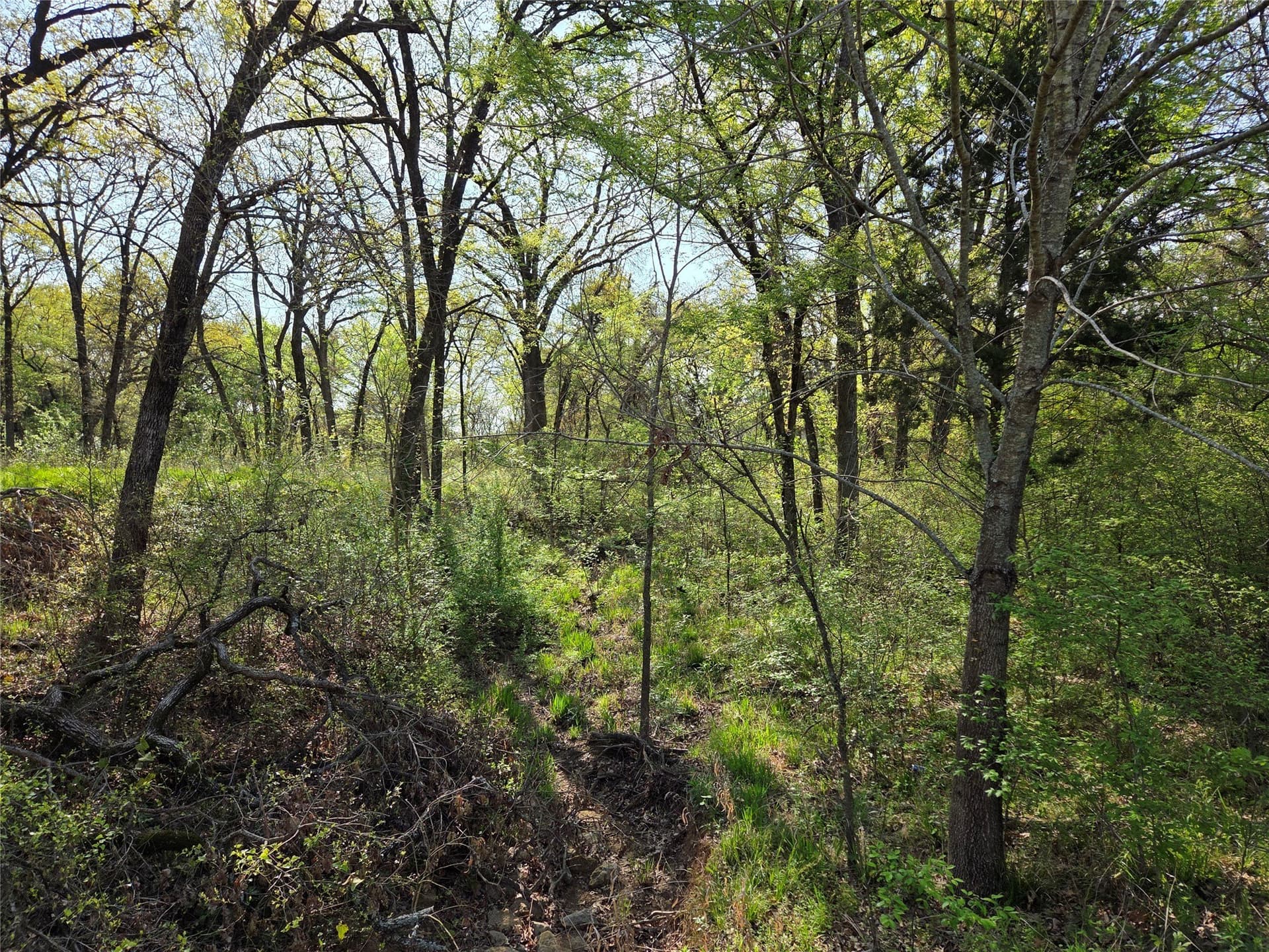 1.57 acres in Navarro County - photo 34