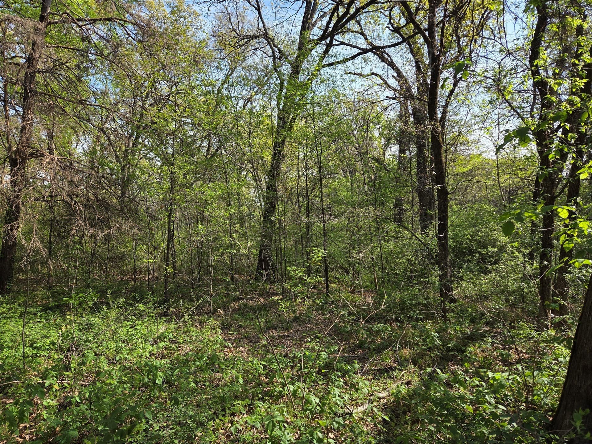 1.57 acres in Navarro County - photo 22