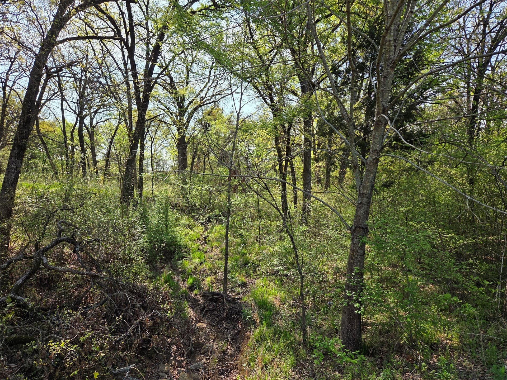 1.57 acres in Navarro County - photo 8