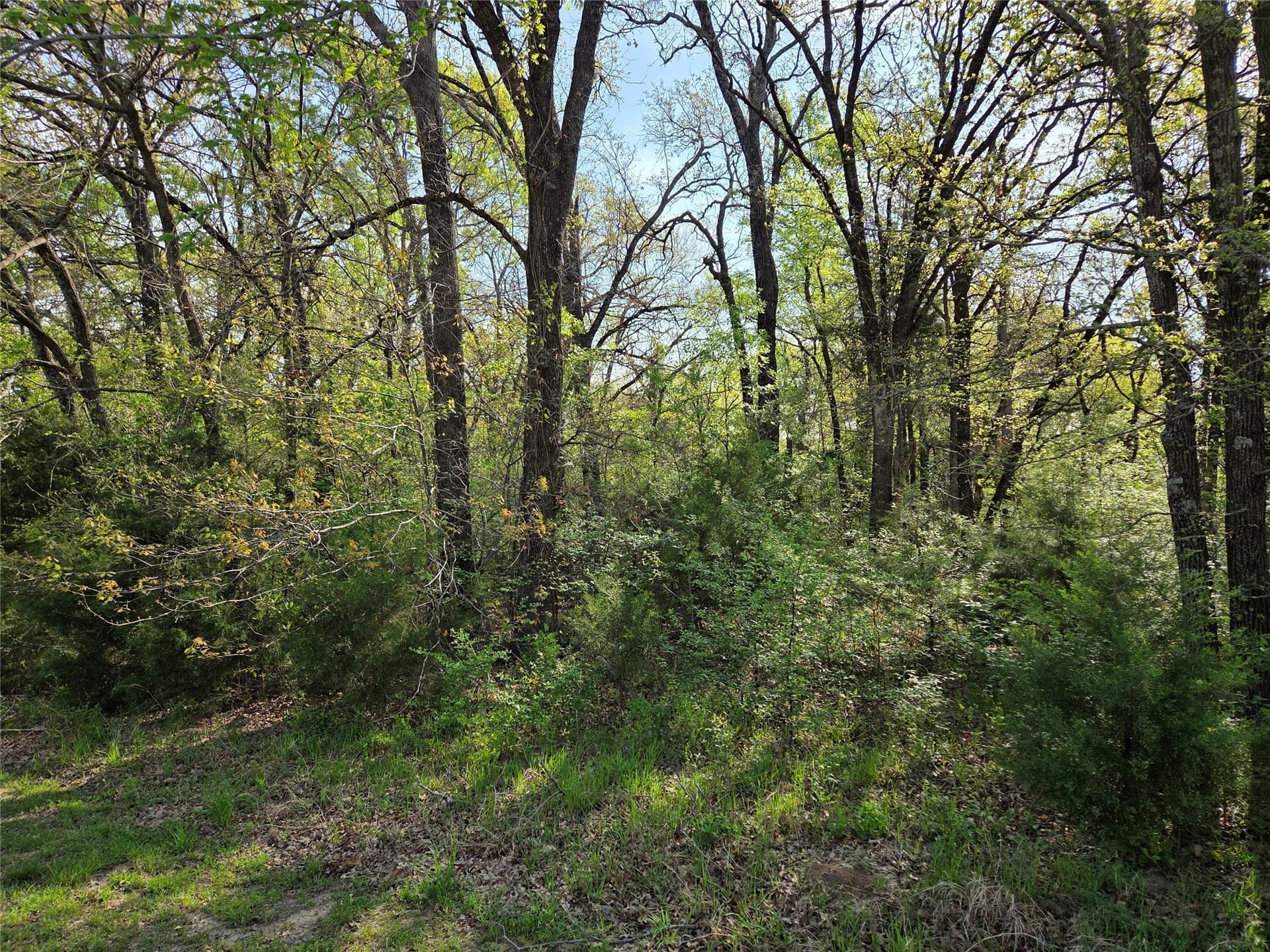 1.57 acres in Navarro County - photo 23