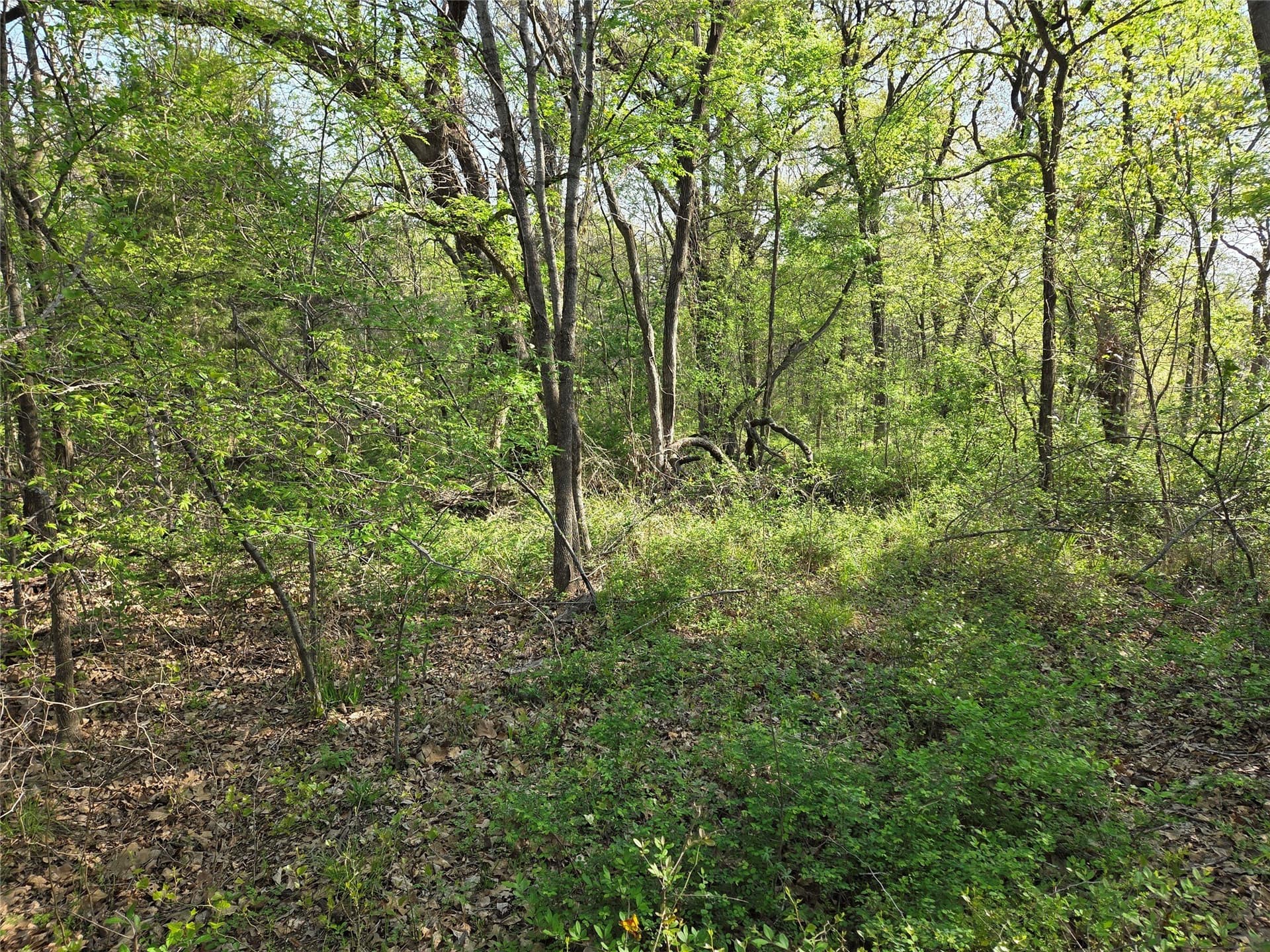 1.57 acres in Navarro County - photo 31