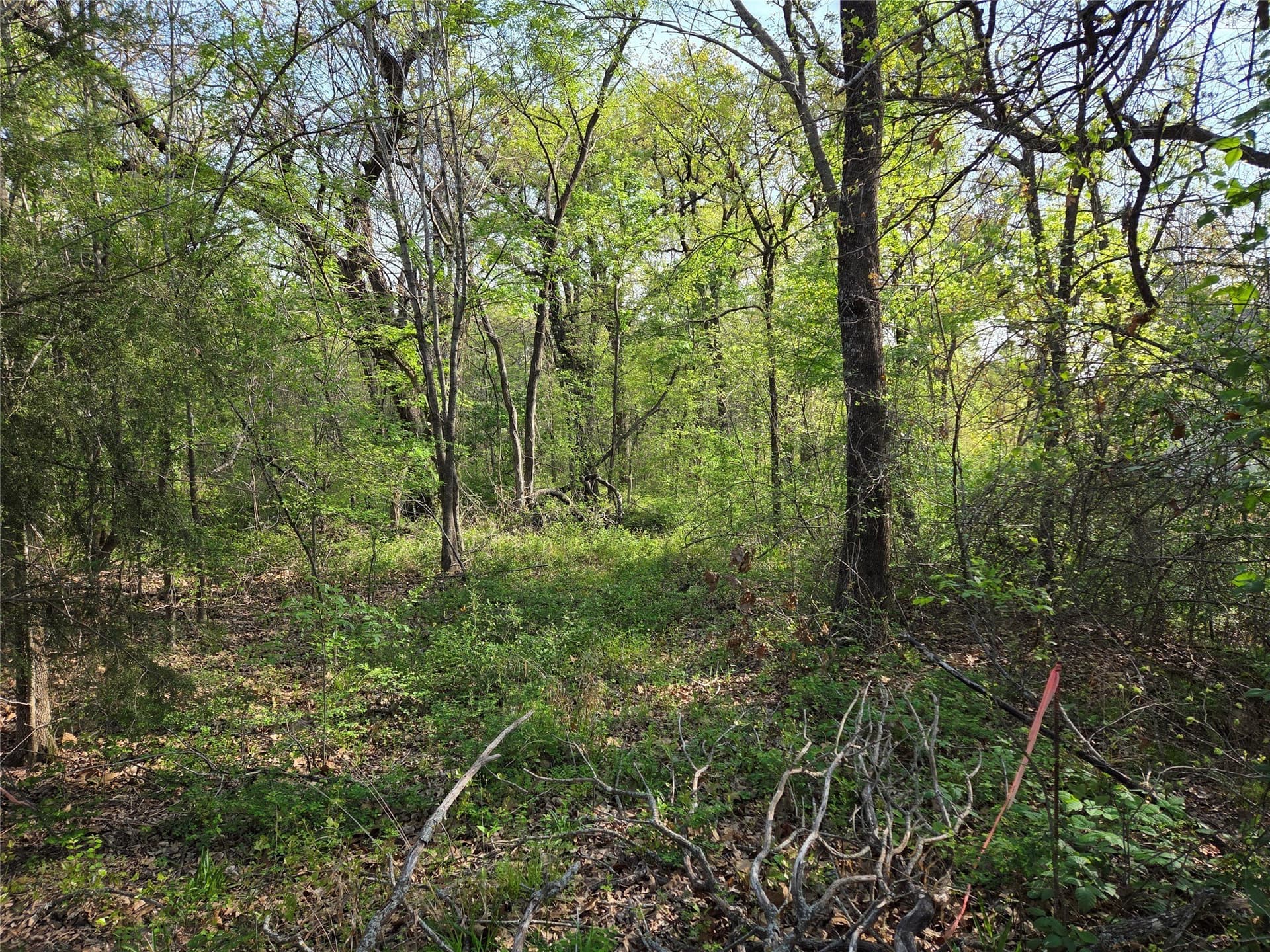 1.57 acres in Navarro County - photo 24