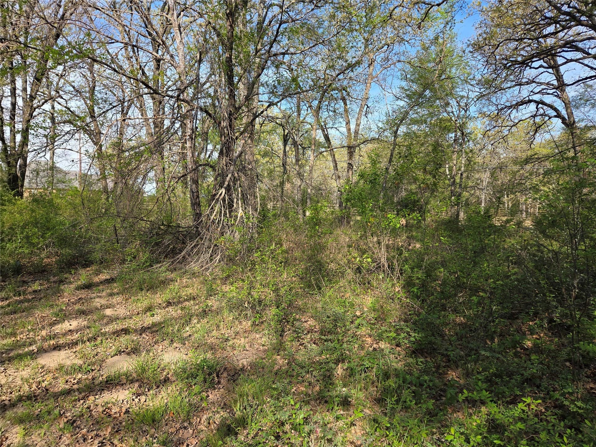 1.57 acres in Navarro County - photo 16