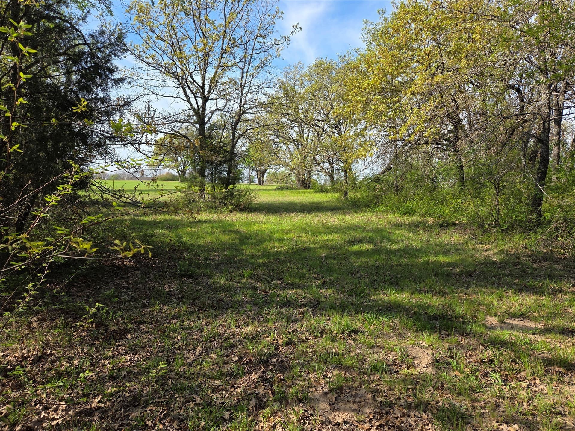 1.57 acres in Navarro County - photo 28