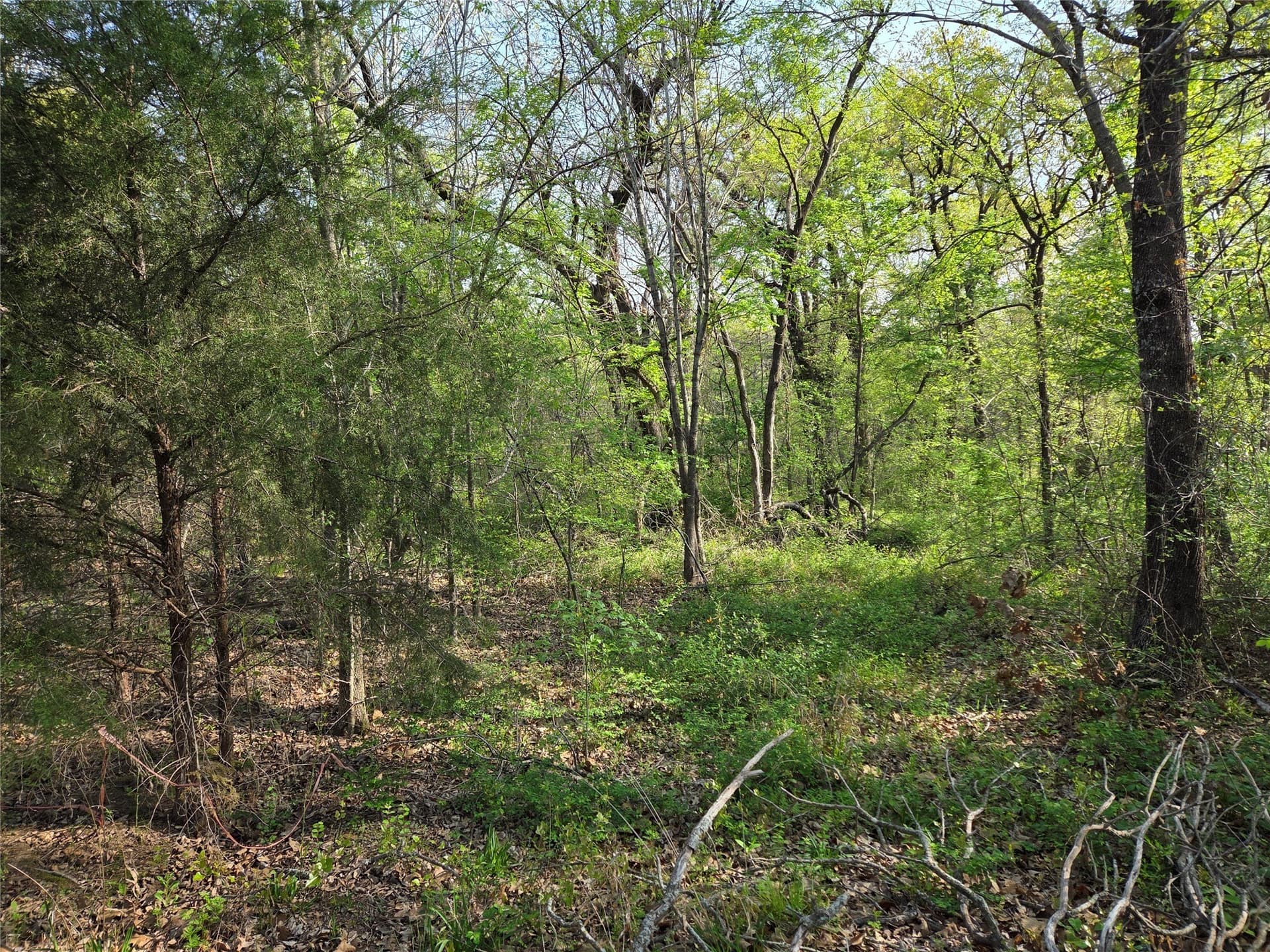 1.57 acres in Navarro County - photo 7