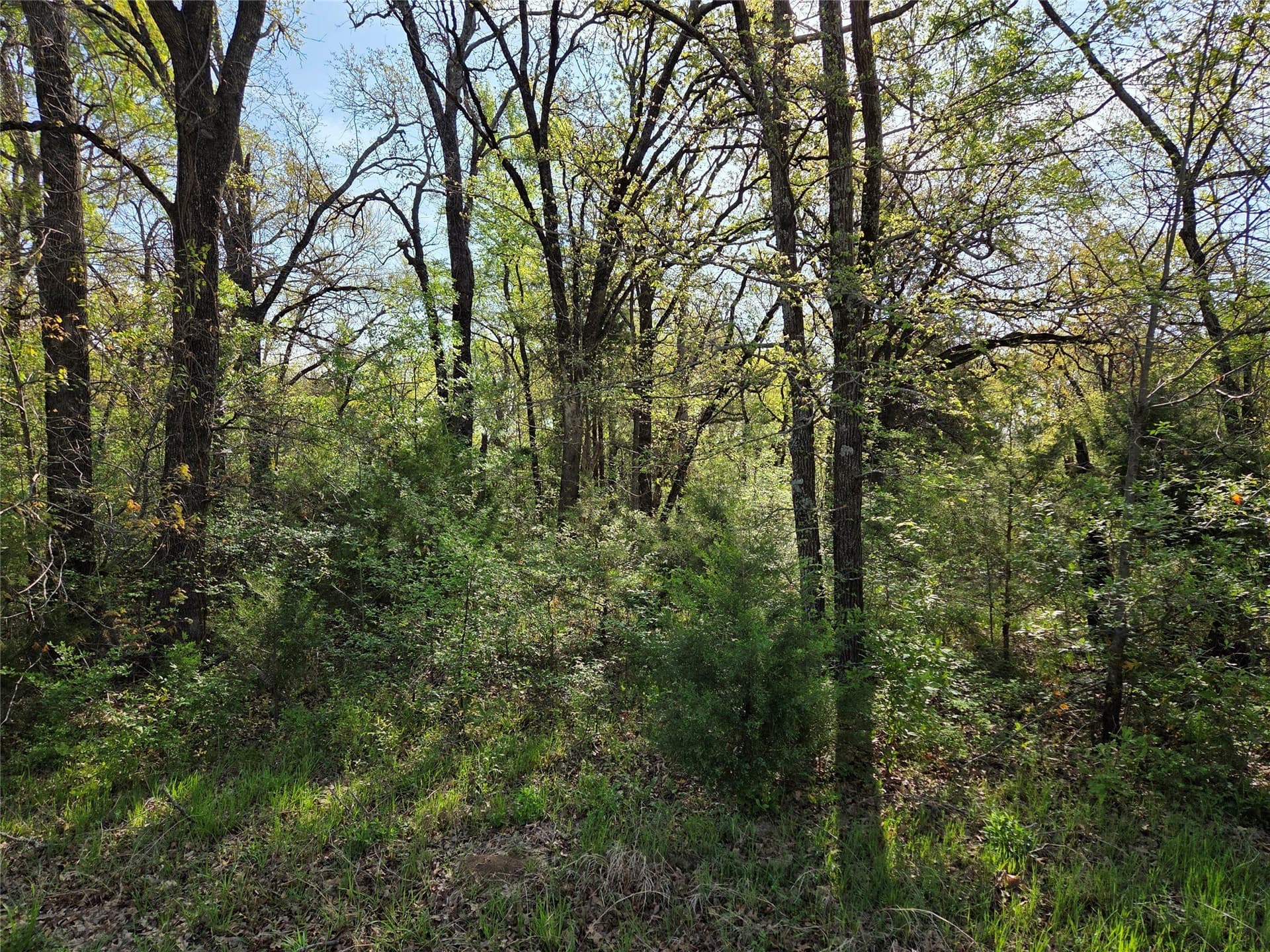 1.57 acres in Navarro County - photo 29