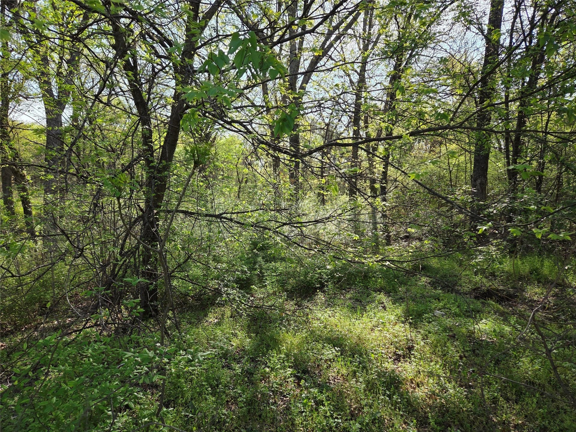 1.57 acres in Navarro County - photo 33