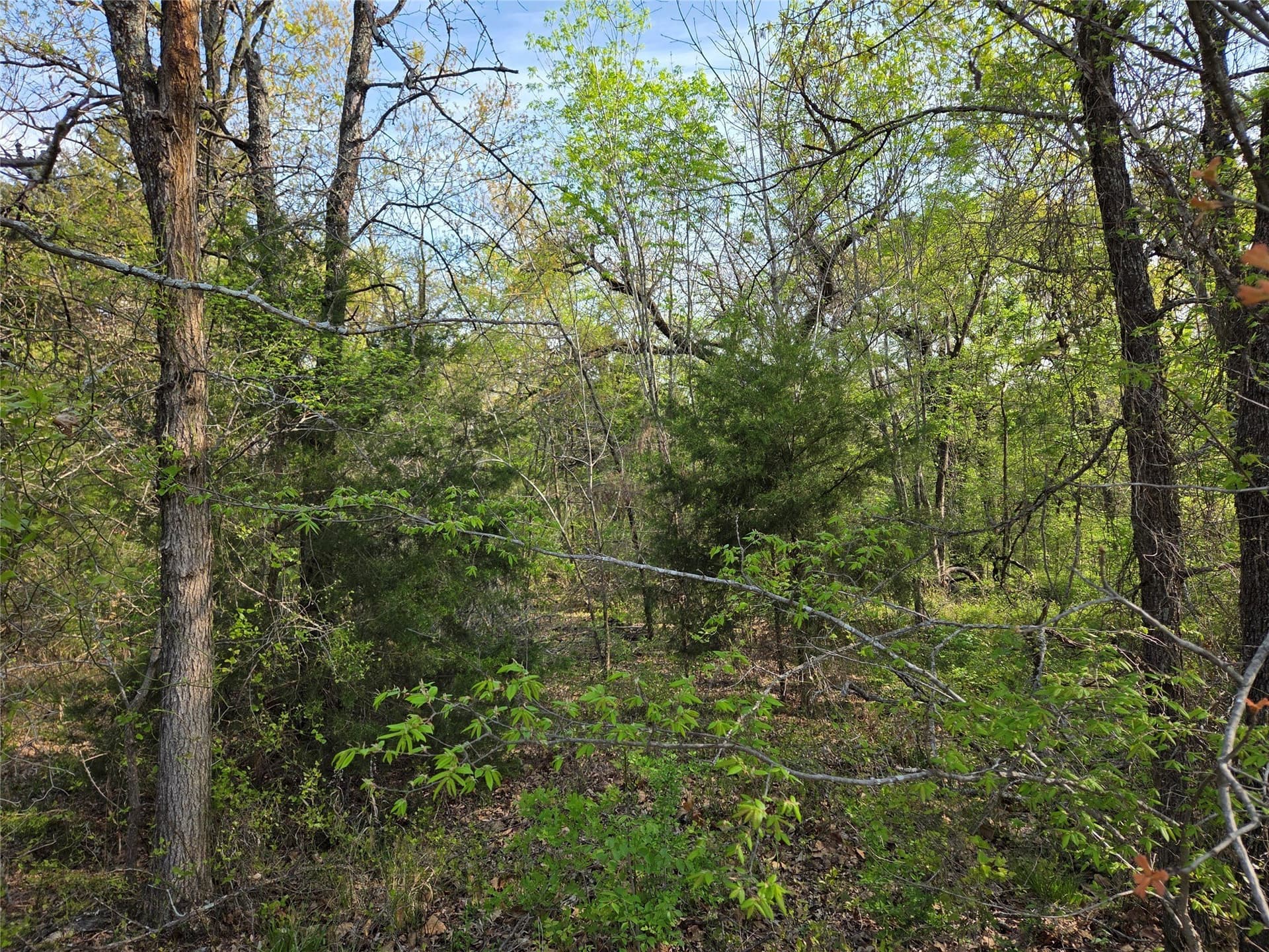 1.57 acres in Navarro County - photo 12