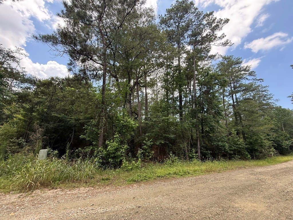 0.23 acres in Texas County gallery image 2