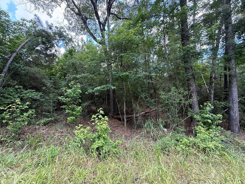 0.23 acres in Texas County featured view
