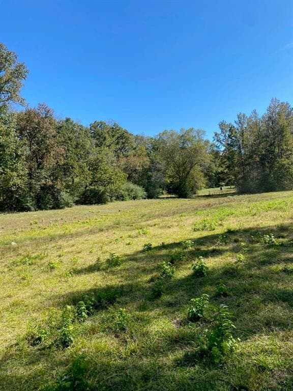 10.48 acres in Leon County gallery image 3