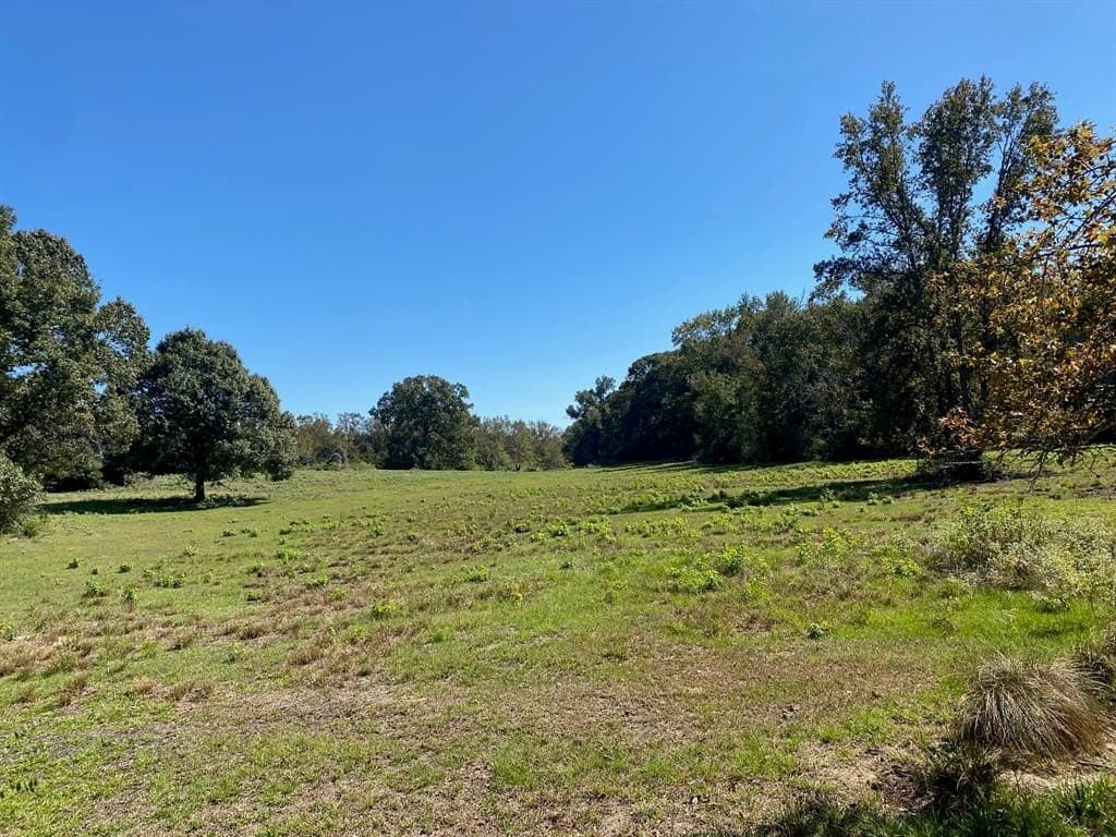 10.48 acres in Leon County featured view