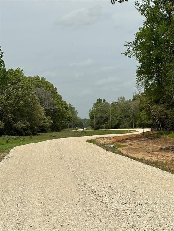 10.48 acres in Leon County gallery image 2