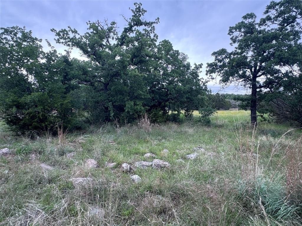 1.54 acres in Palo Pinto County gallery image 2