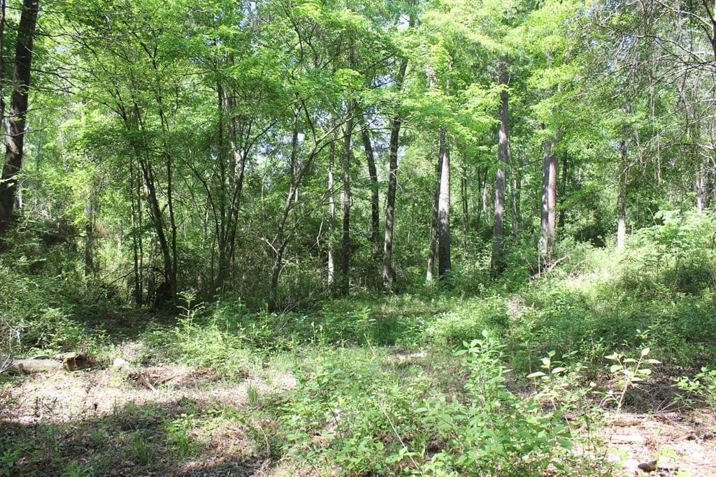 8.39 acres in Texas County gallery image 2