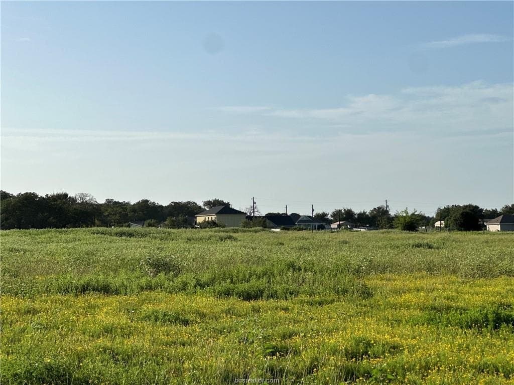 10 acres in Brazos County - photo 2
