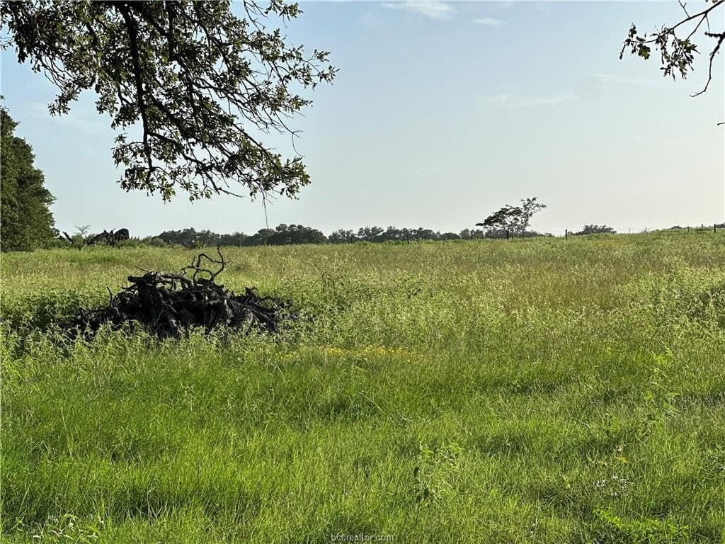 10 acres in Brazos County - photo 6