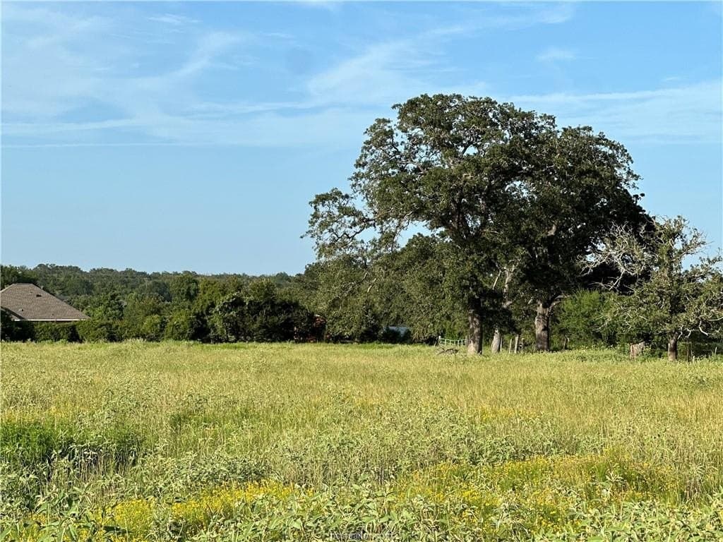 10 acres in Brazos County - photo 7