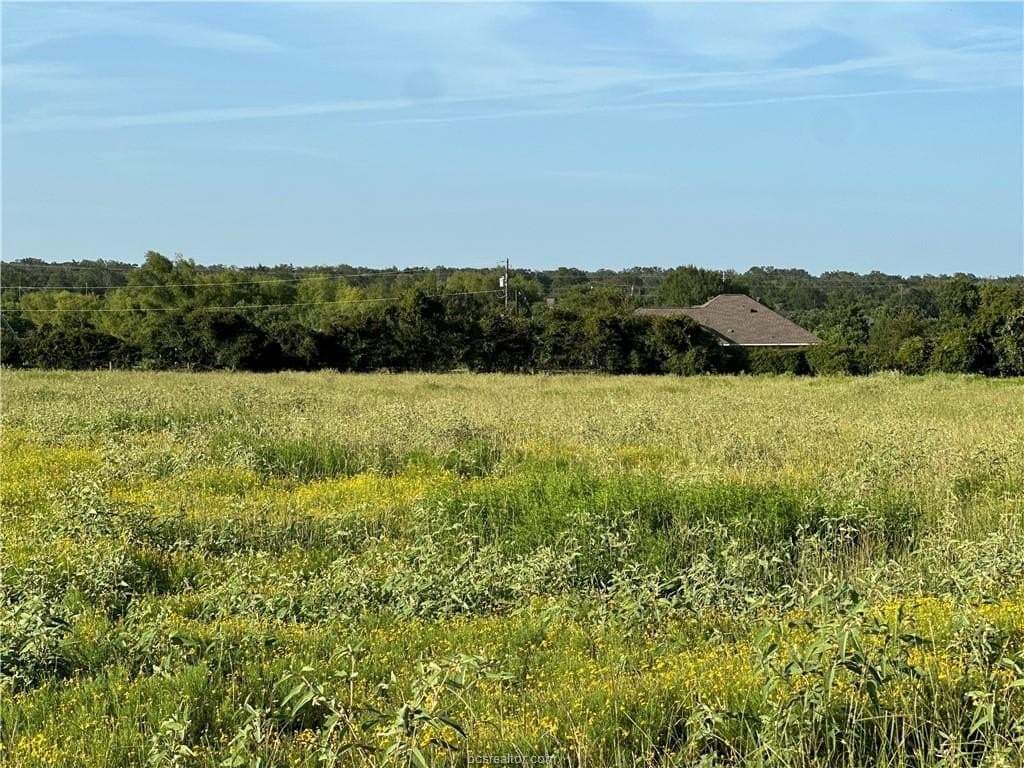 10 acres in Brazos County - photo 3