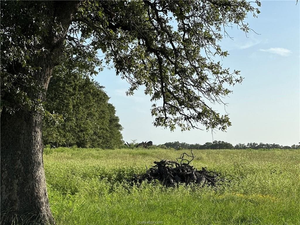 10 acres in Brazos County - photo 5
