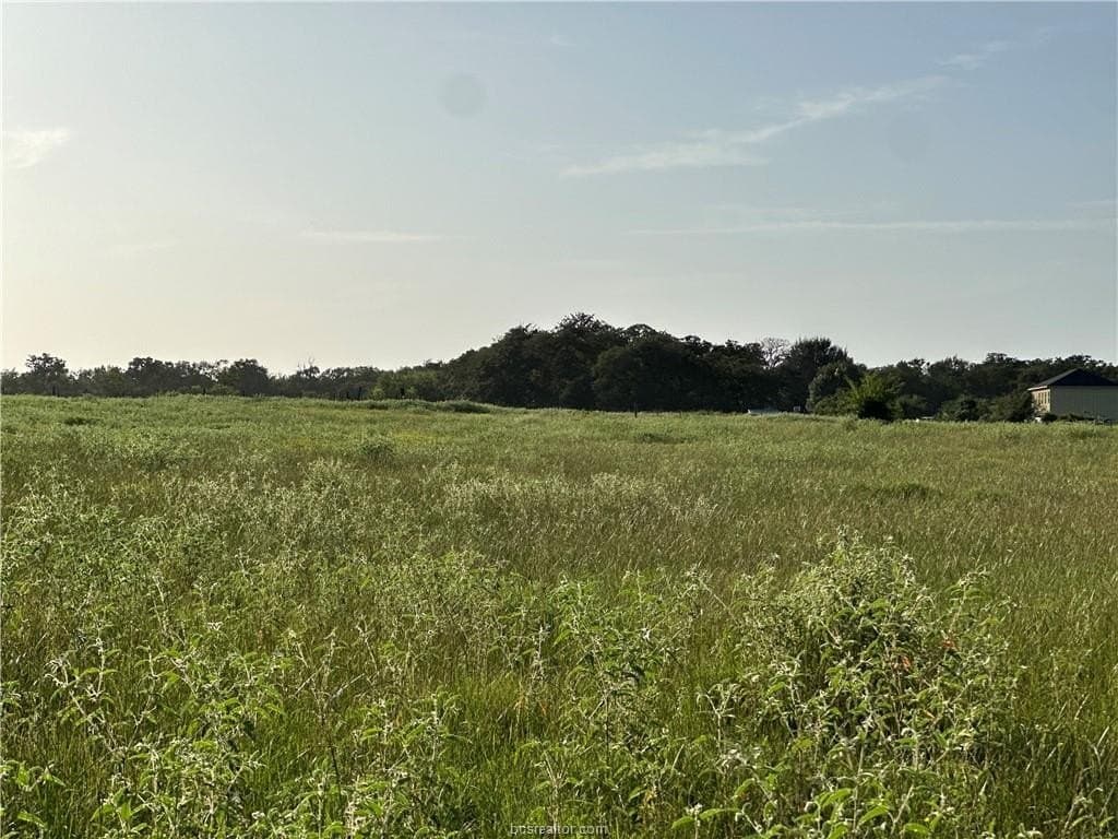 10 acres in Brazos County - photo 4